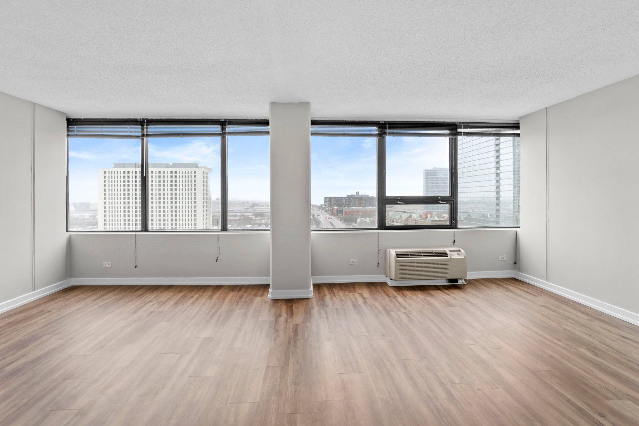 Chicago Apartment: 1011 S Michigan Ave