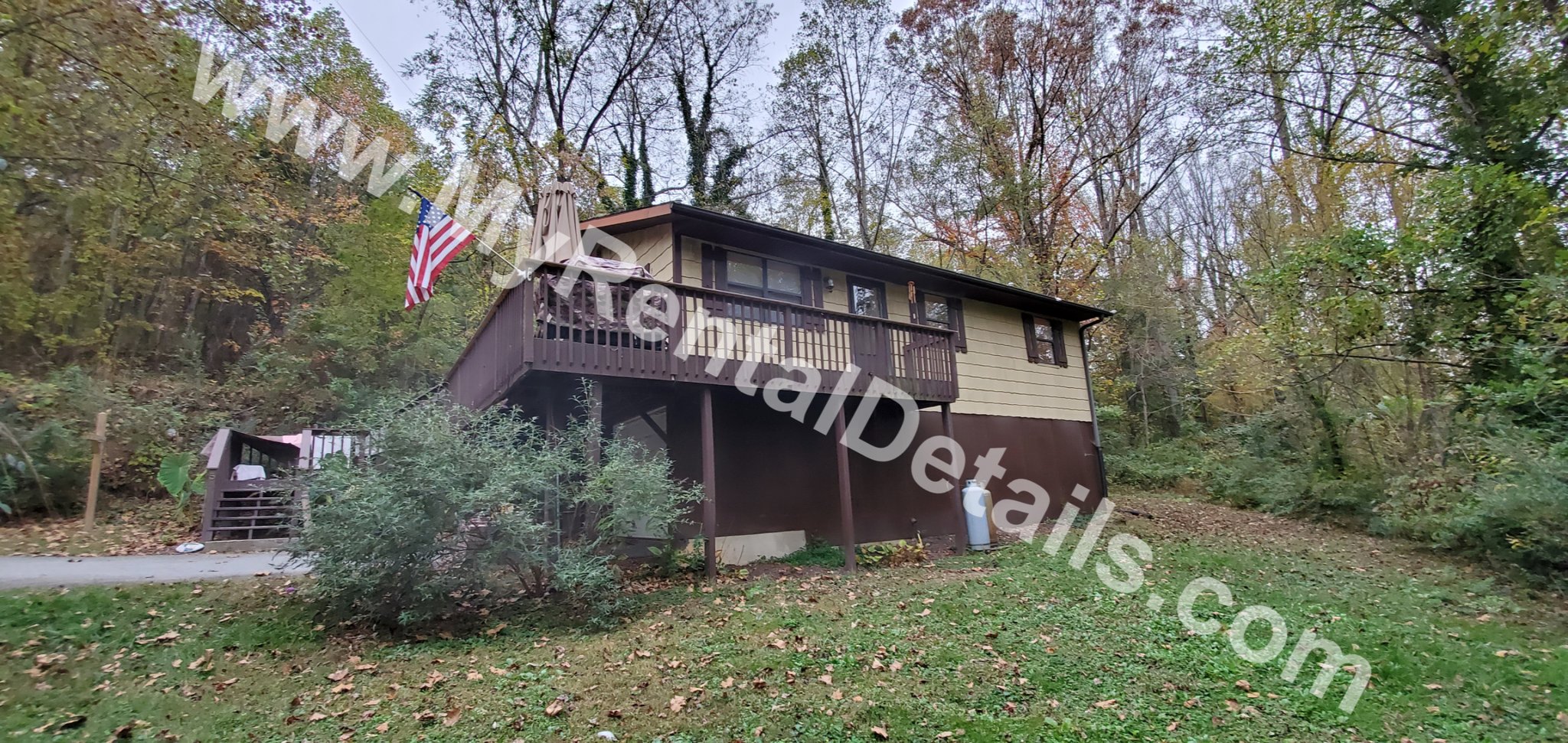 Asheville House: 5 Frankie Ln