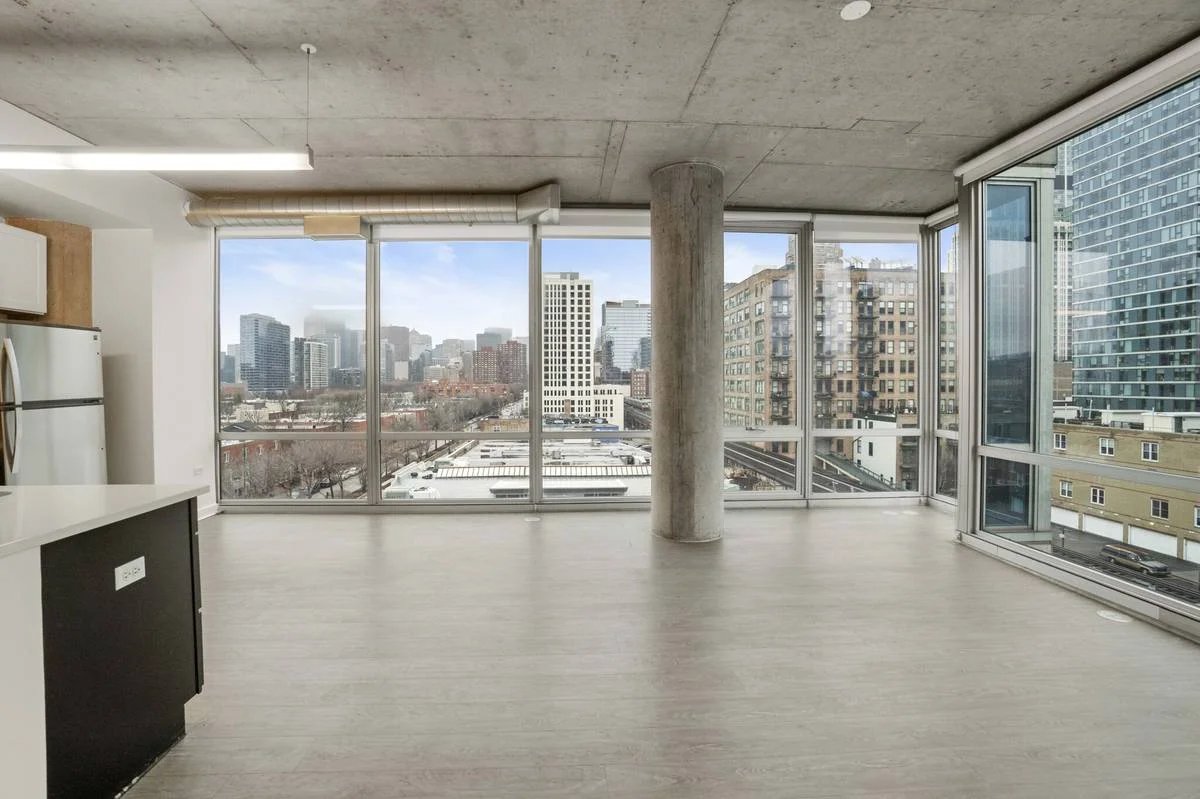 Chicago Condo: 1477 S State St