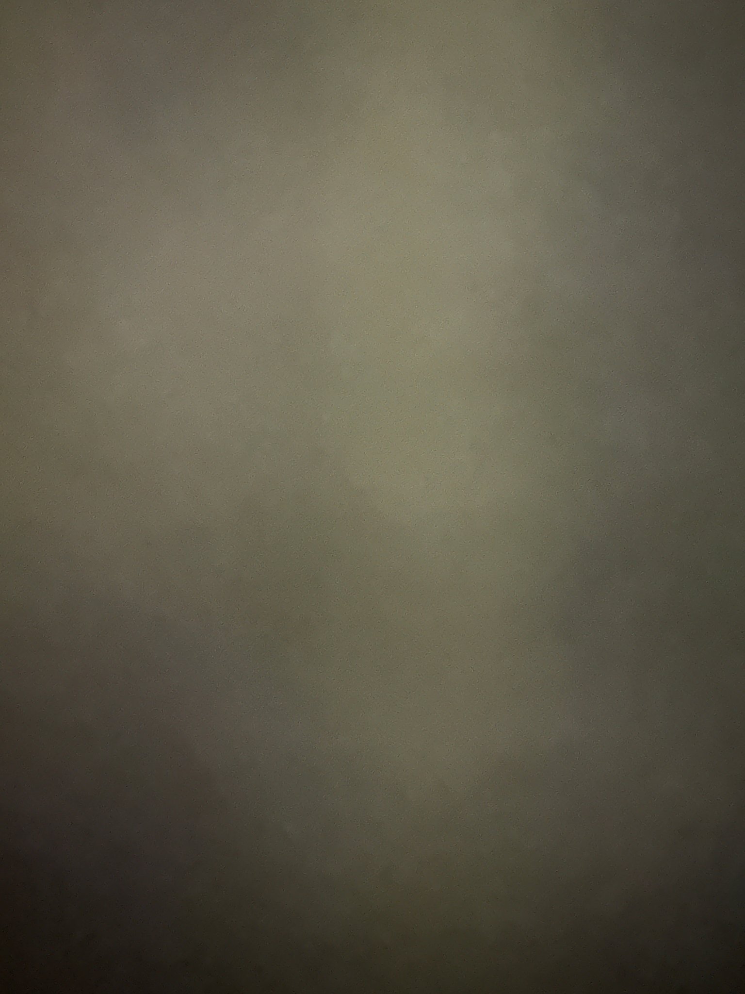 Edwardsville House: 79 Washington St