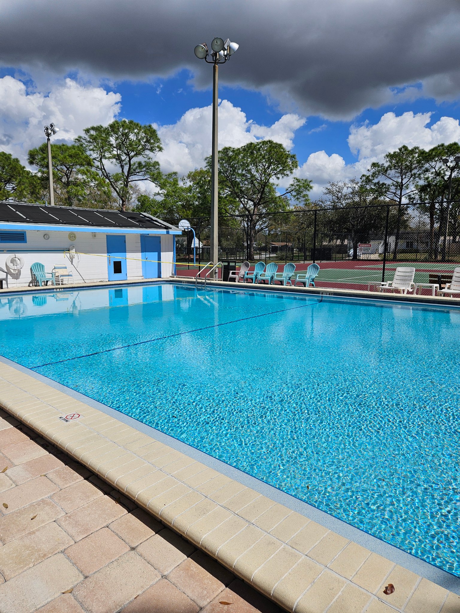 Oldsmar Condo: 129 camphor circle