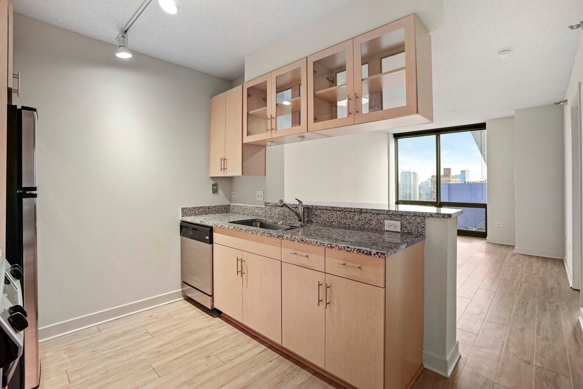 Chicago Condo: 1233 S Michigan Ave