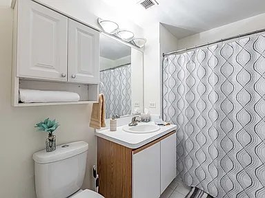 Chicago Apartment: 340 W Superior St