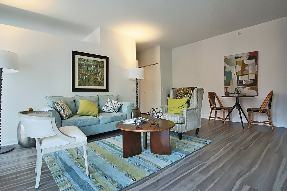 Chicago Condo: 802 N La Salle Dr