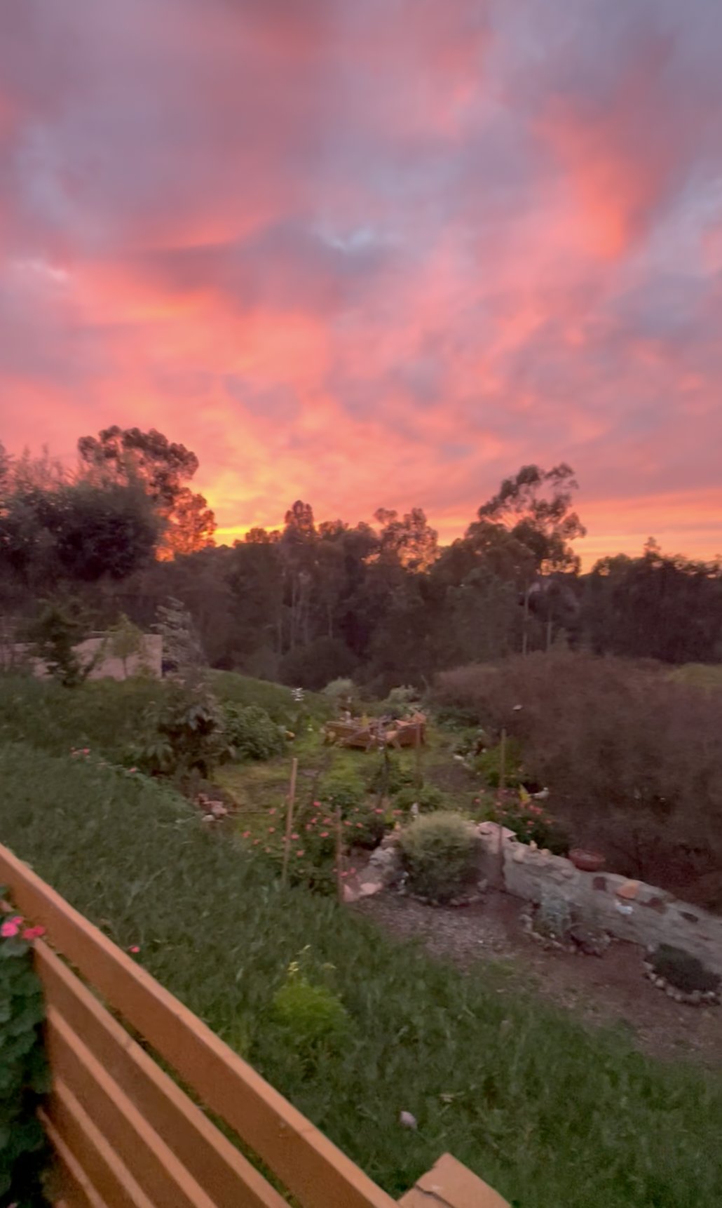 San Diego House: 5110 Winthrop St