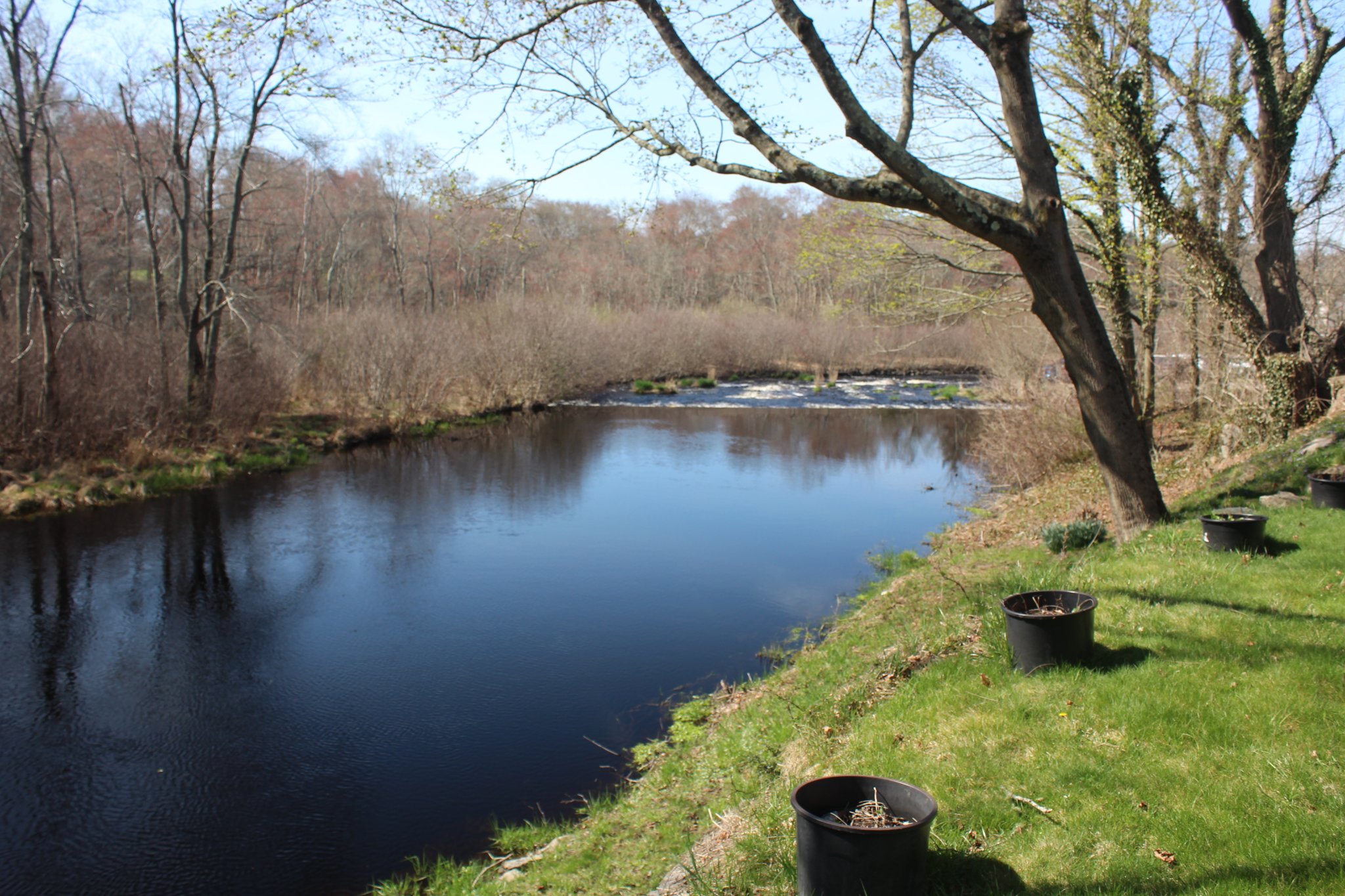 Richmond Multiplex: 43b Sherman Ave.