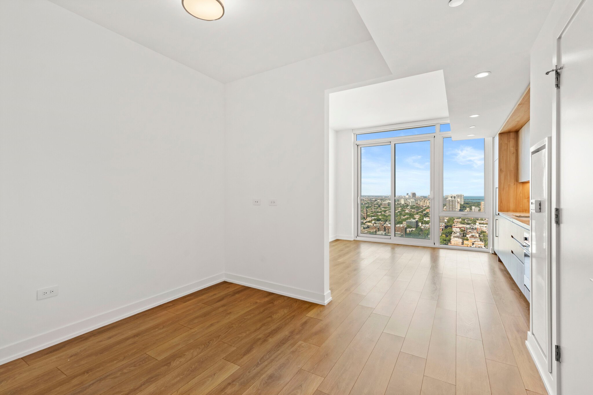 Chicago Condo: 234 W Hill Street