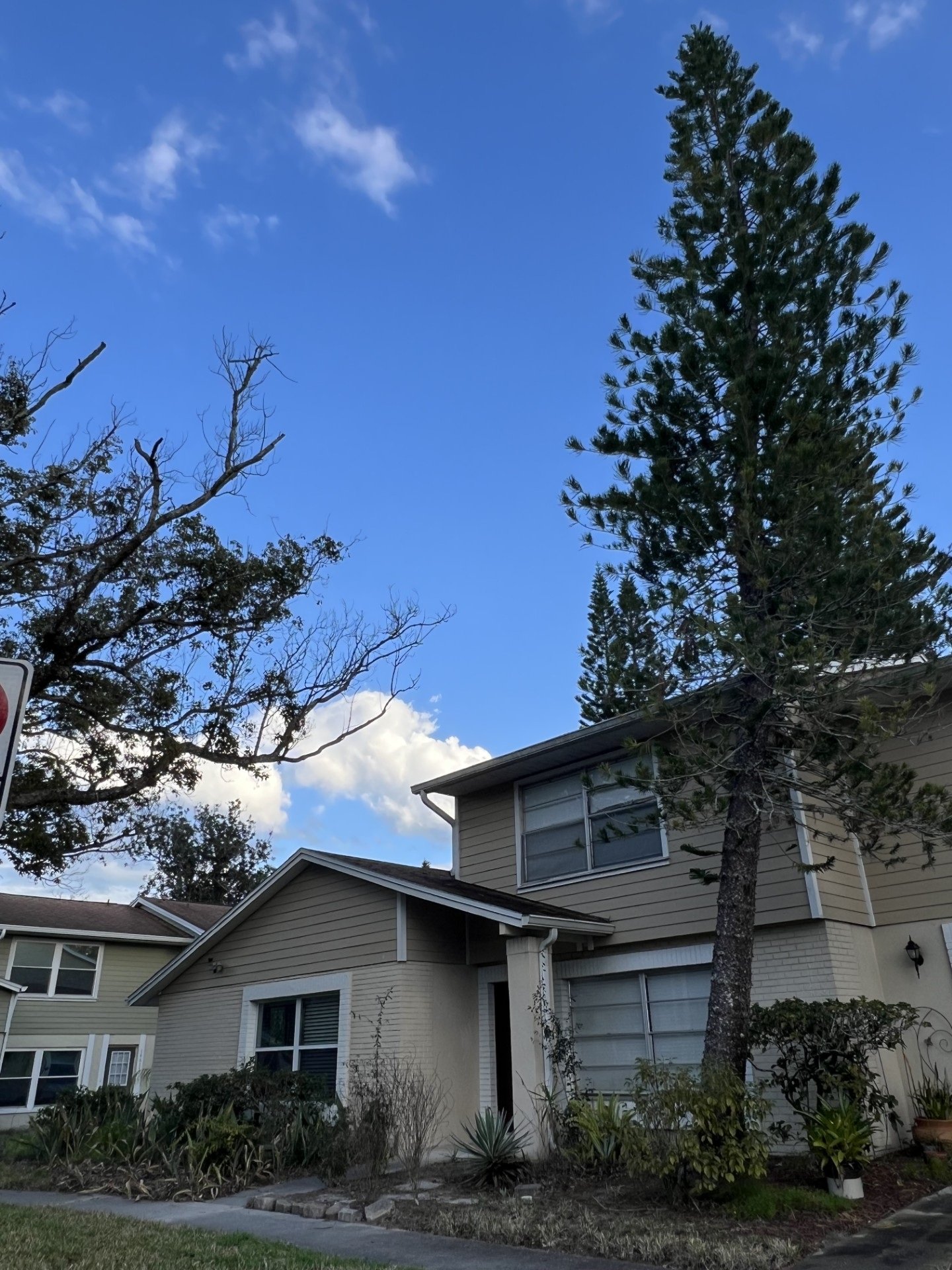 Lutz Townhome: 14627 Pine Glen Circle