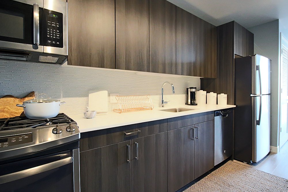 Chicago Condo: 730 N Morgan