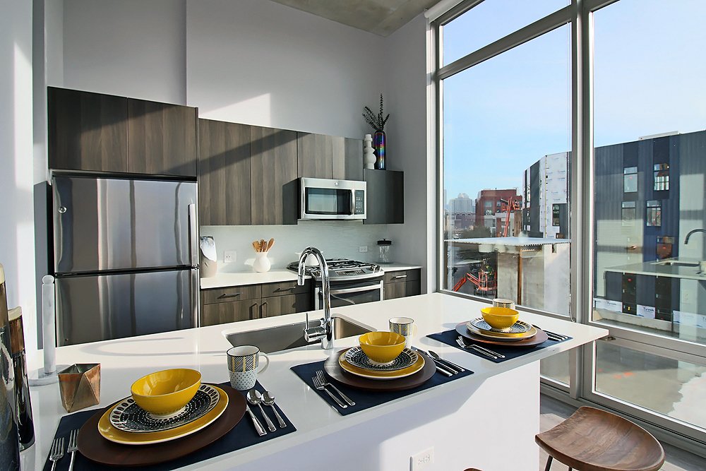 Chicago Condo: 733 N Morgan St