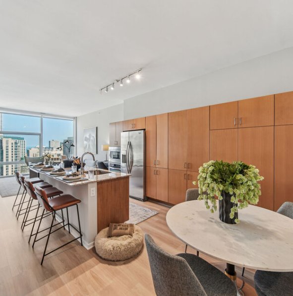 Chicago Condo: 198 E Illinios