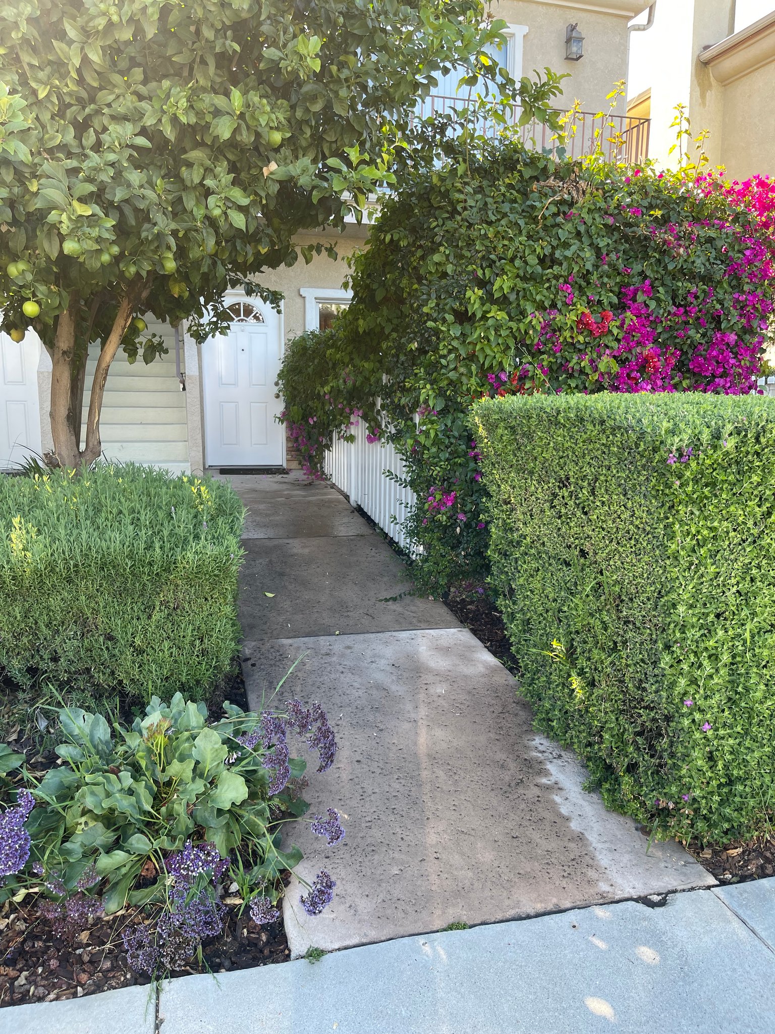 North Hollywood Multiplex: 4529 Colfax Ave