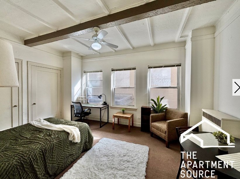 Chicago Condo: 1220 N State Pkwy