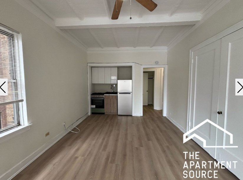 Chicago Condo: 1220 N State Pkwy