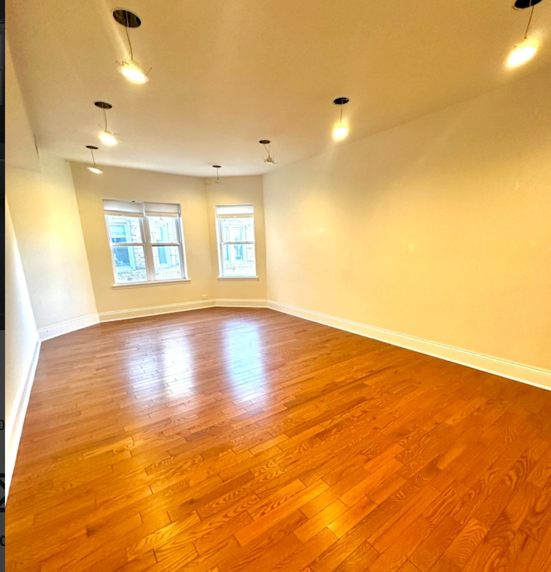 Chicago Condo: 1155 W Lunt