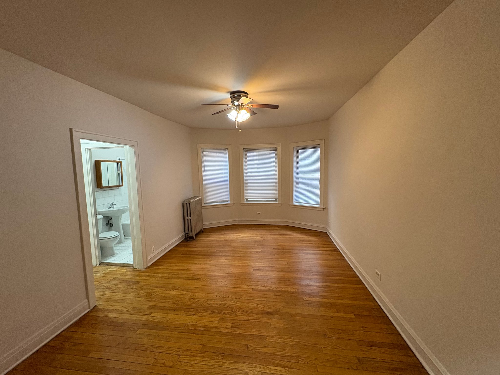 Oak Park Apartment: 824 S. Austin Blvd Unit 1R