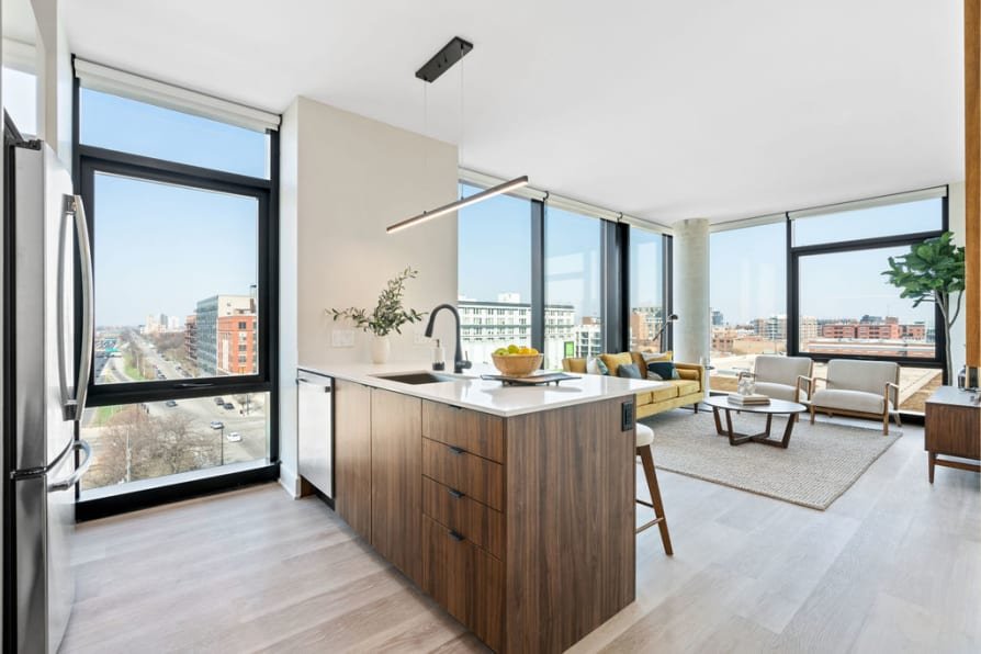 Chicago Condo: 1117 W Van Buren St