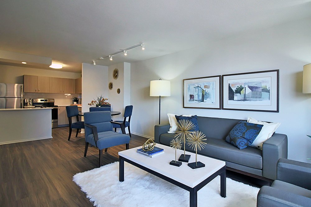 Chicago Condo: 9 W Elm