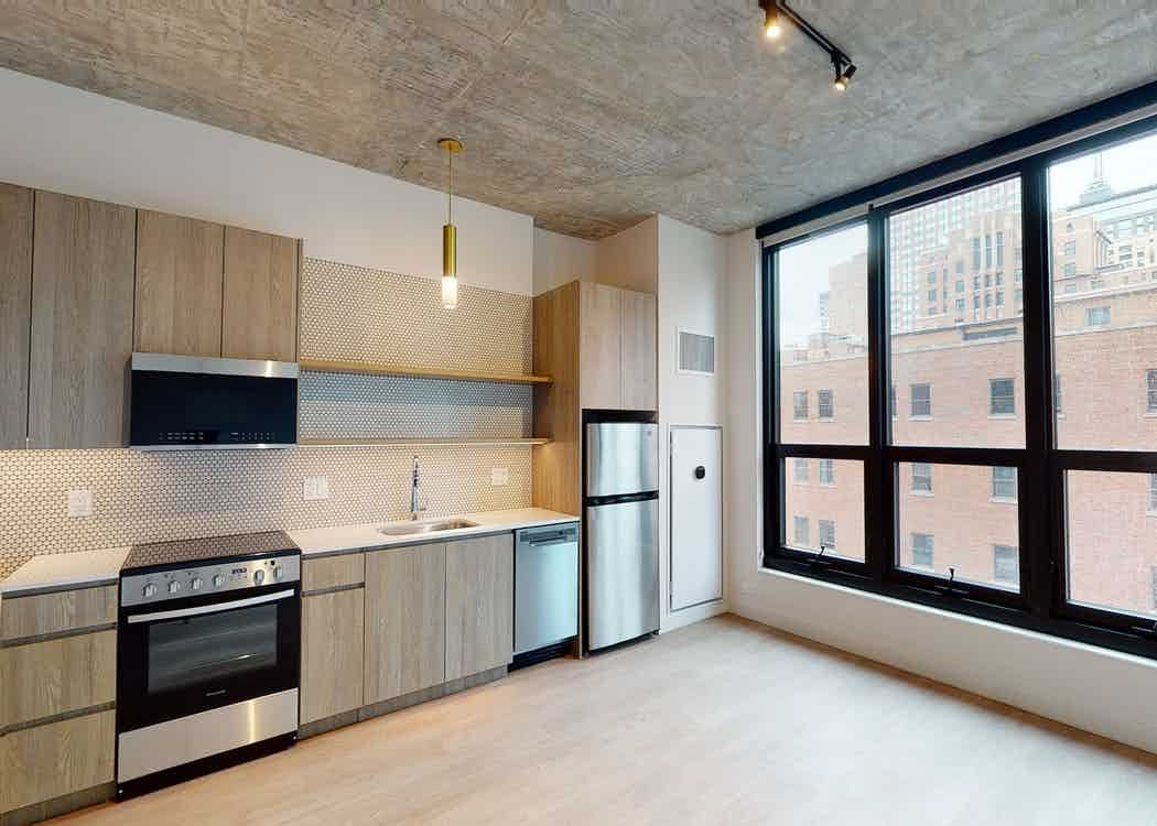 Chicago Condo: 213 W Chicago Ave