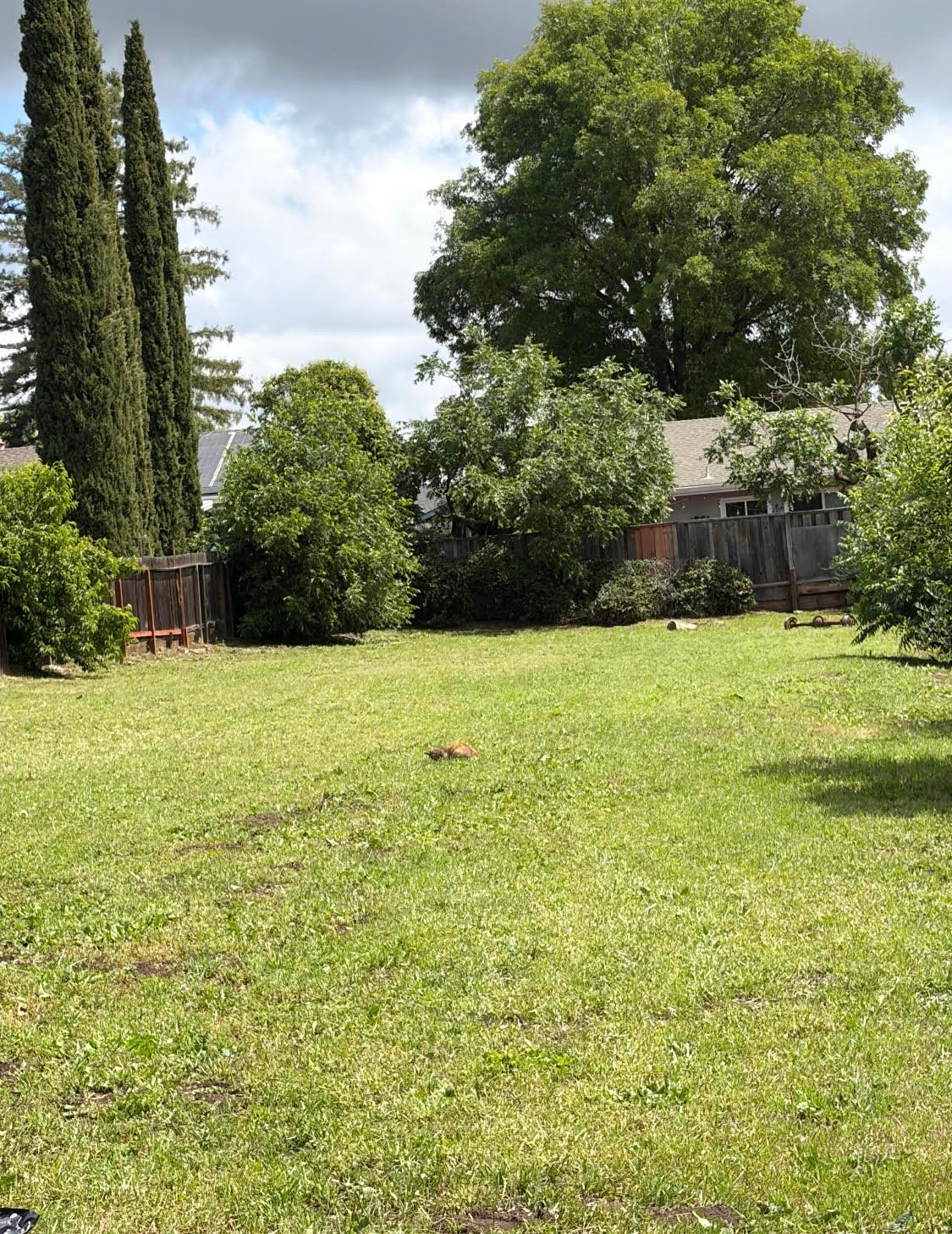 Martinez House: 26 Goree Ct