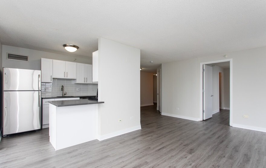 Chicago Condo: 601 N Wabash