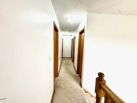 Burnsville Townhome: 2391 Williams Drive,