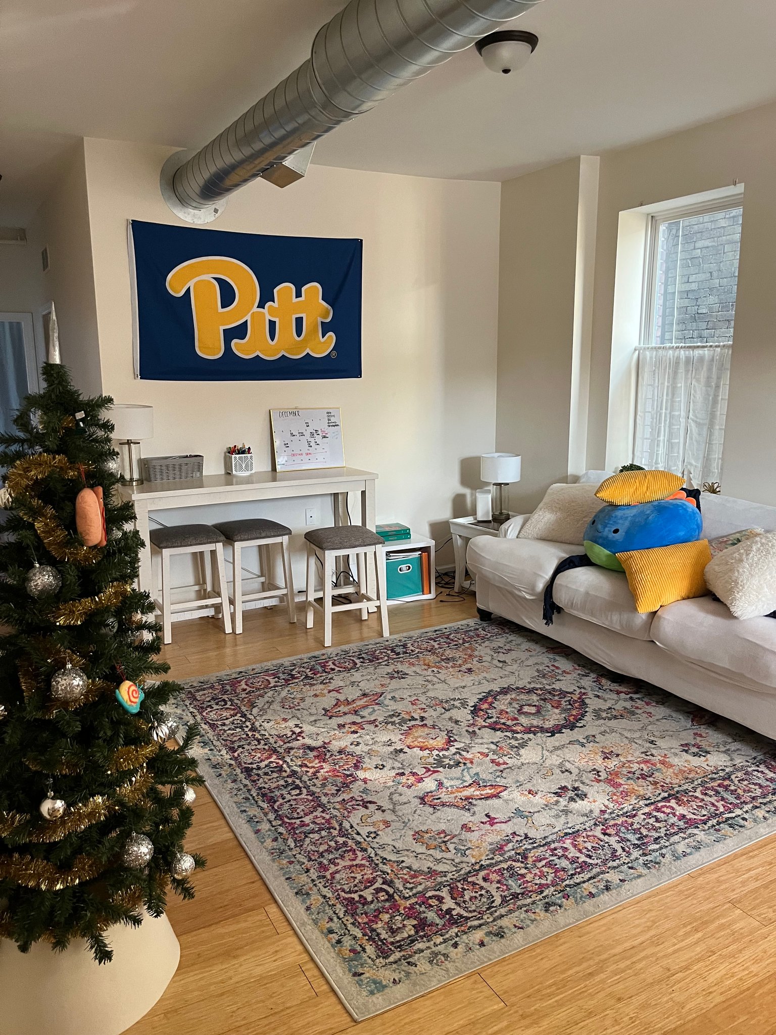 Pittsburgh Apartment: 3206 Juliet St