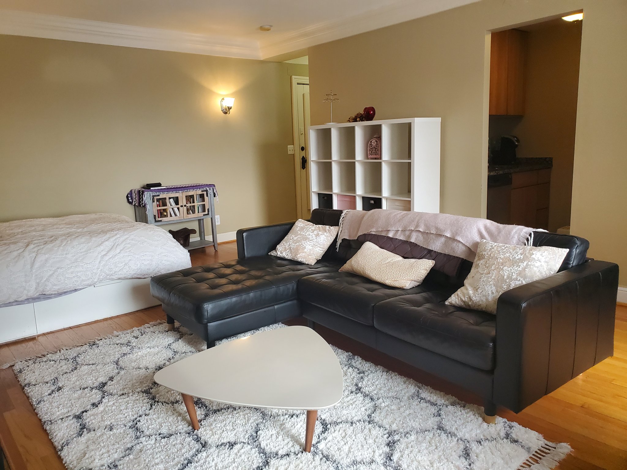 Detroit Condo: 15 E. Kirby