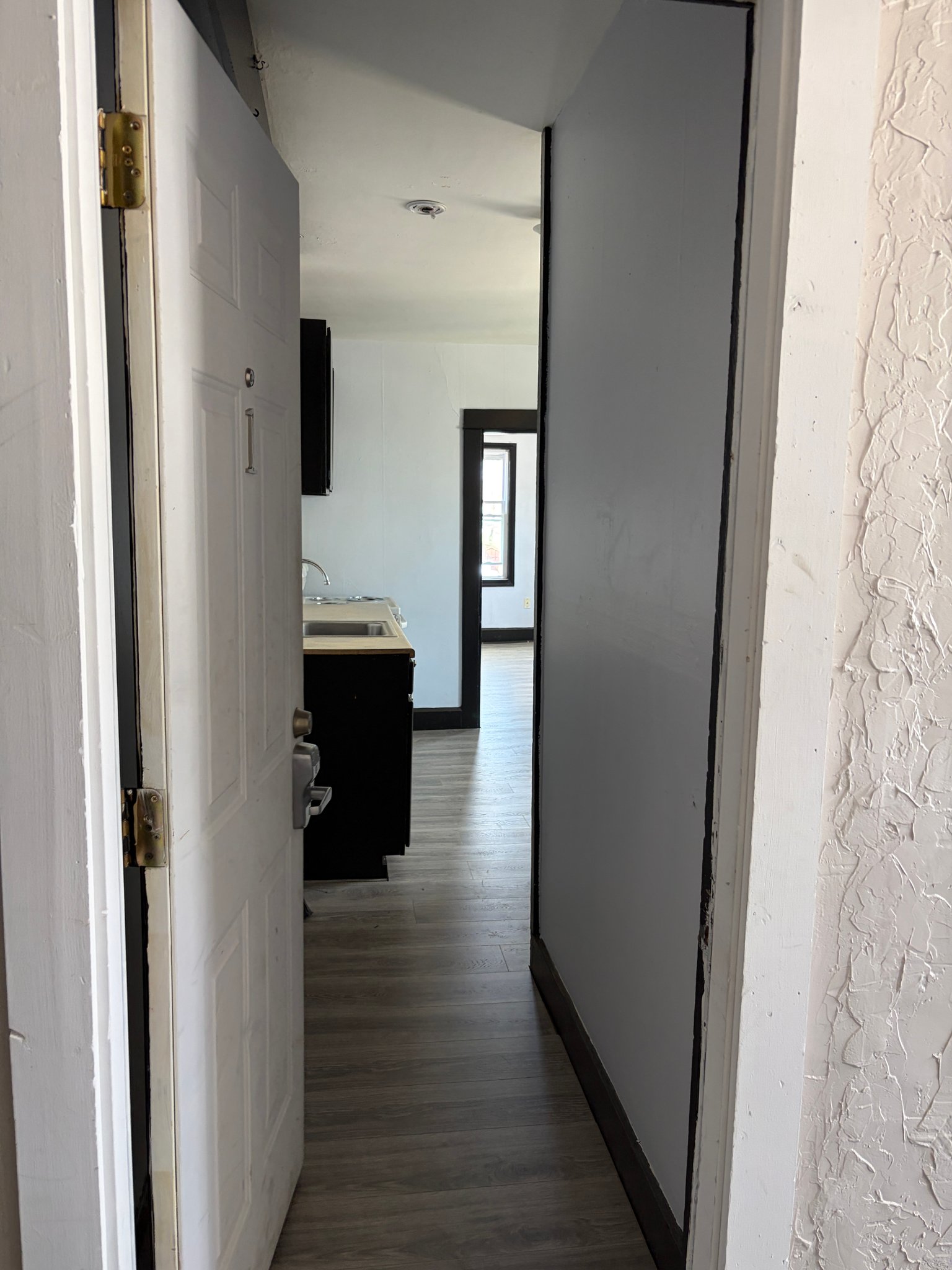 Webster Apartment: 36 Lake St