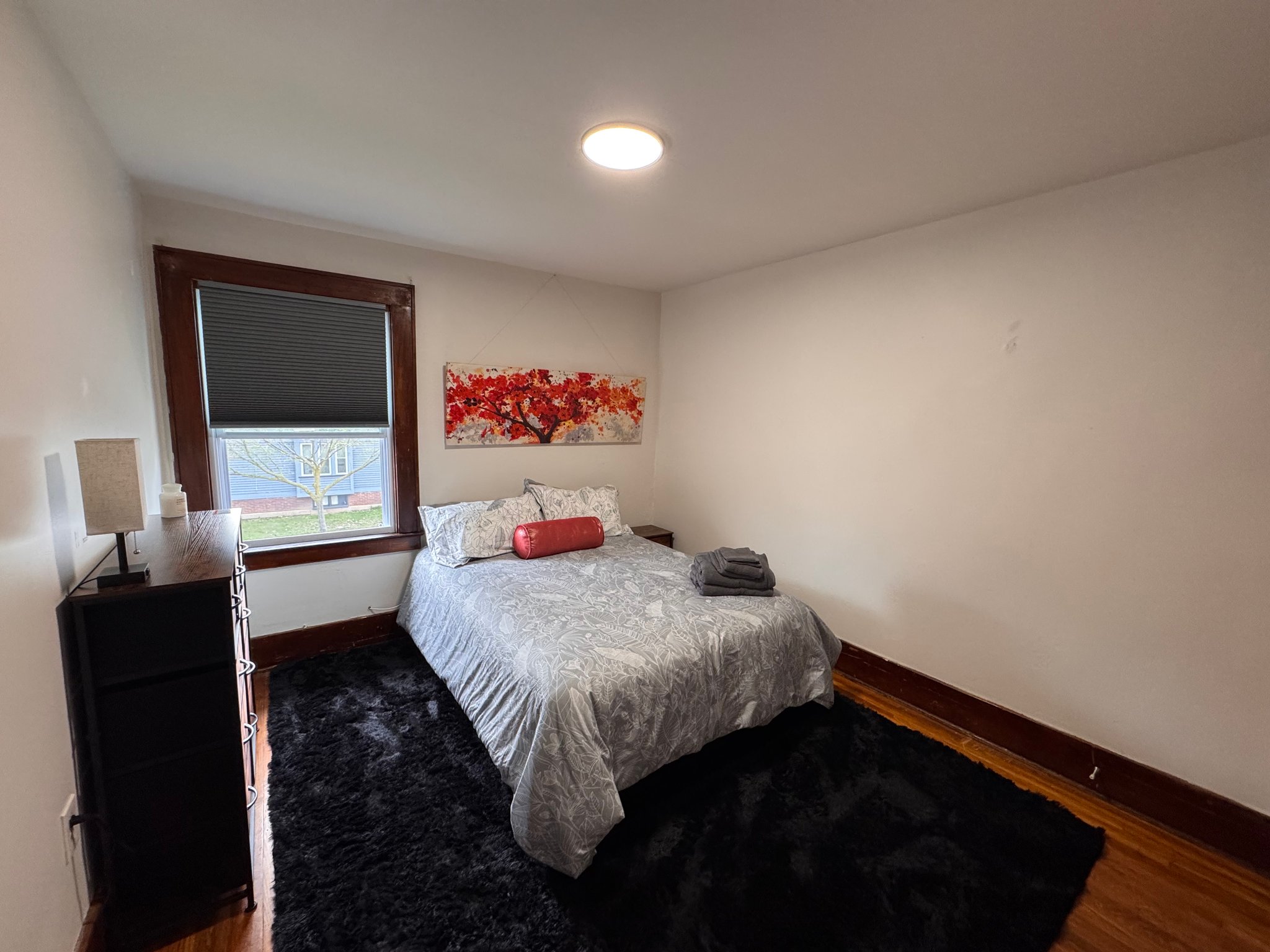 Rochester Multiplex: 186 Spruce Ave