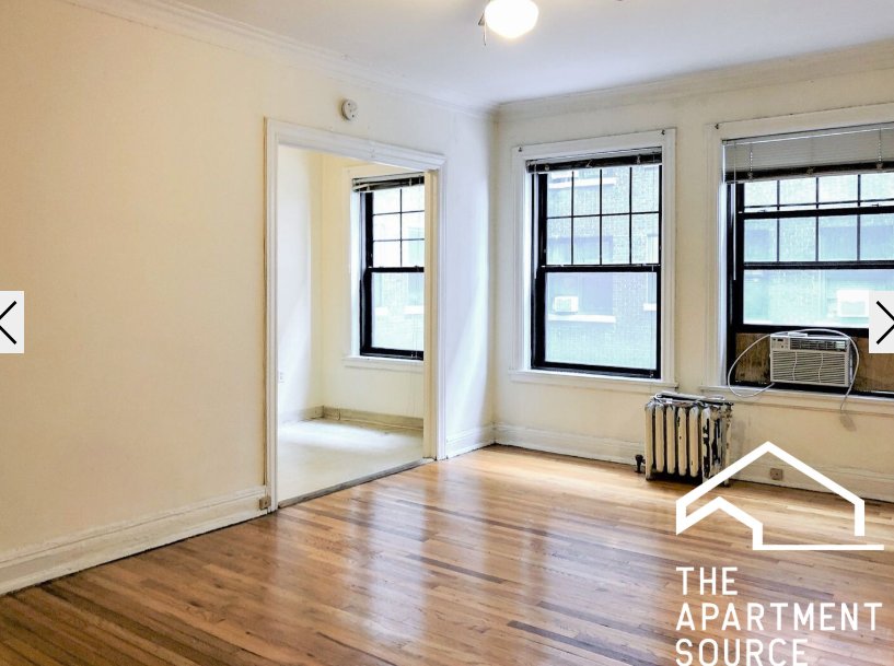 Chicago Condo: 540 West Briar Pl