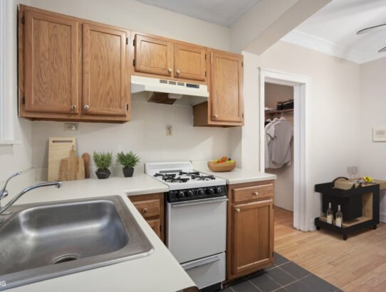 Chicago Condo: 4225 N Paulina St