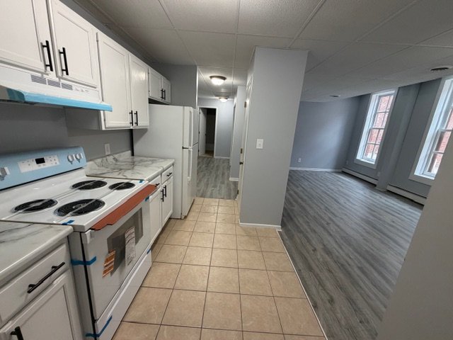 Red Wing Apartment: 205 Plum Street