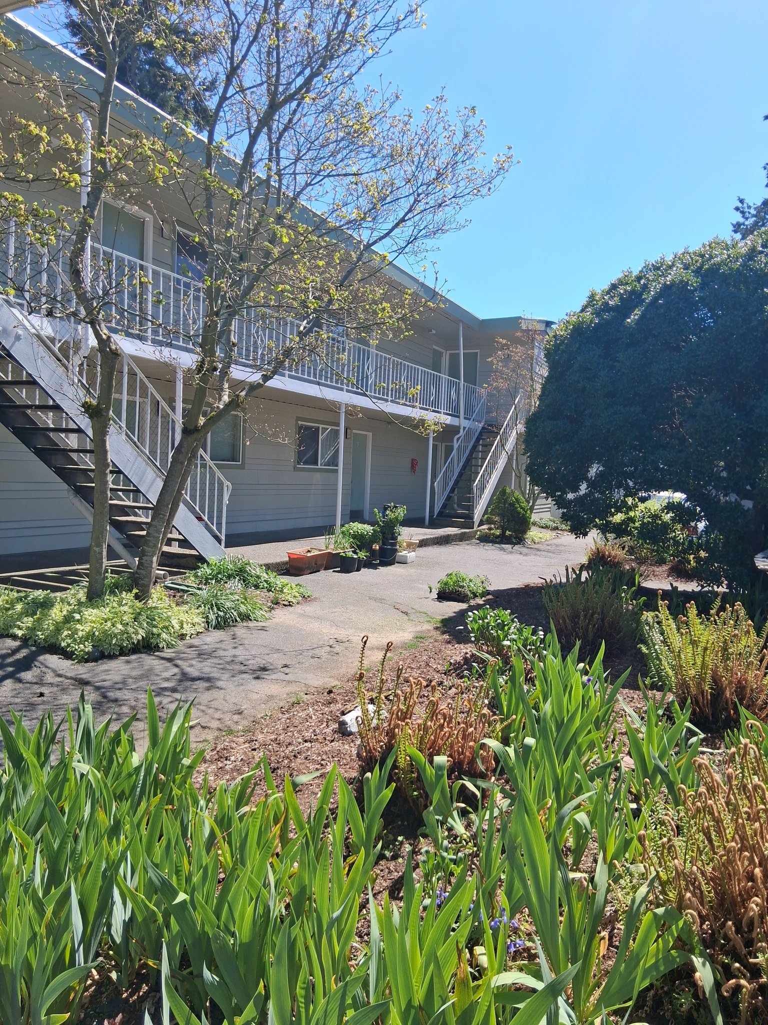 Lynwood Apartment: 21011 67th Ave W