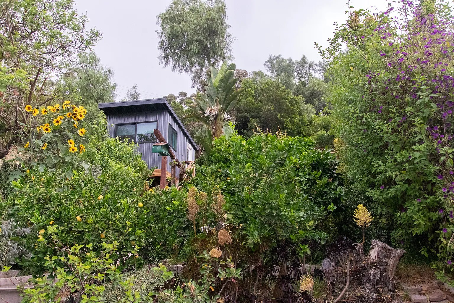 Los Angeles House: 647 Academy Rd