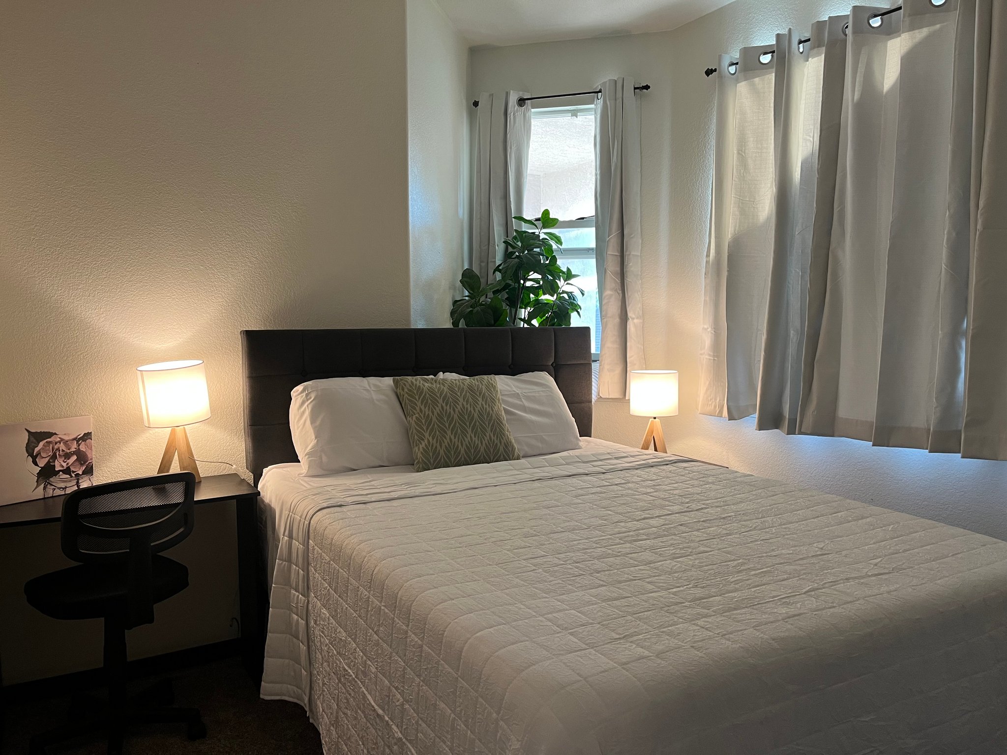 Antelope Other: 8408 Arrowroot Circle