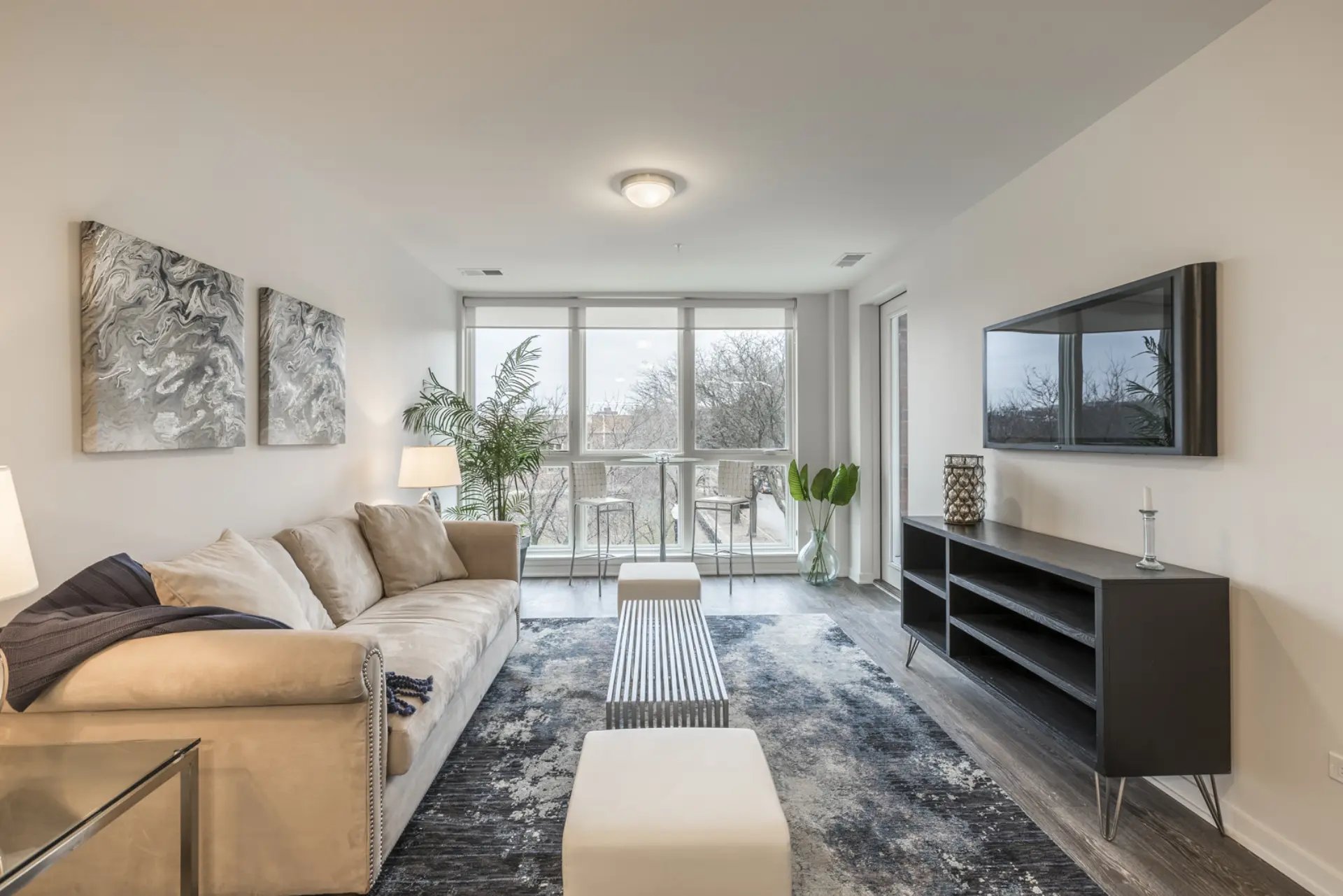 Chicago Condo: 1323 N Wells St
