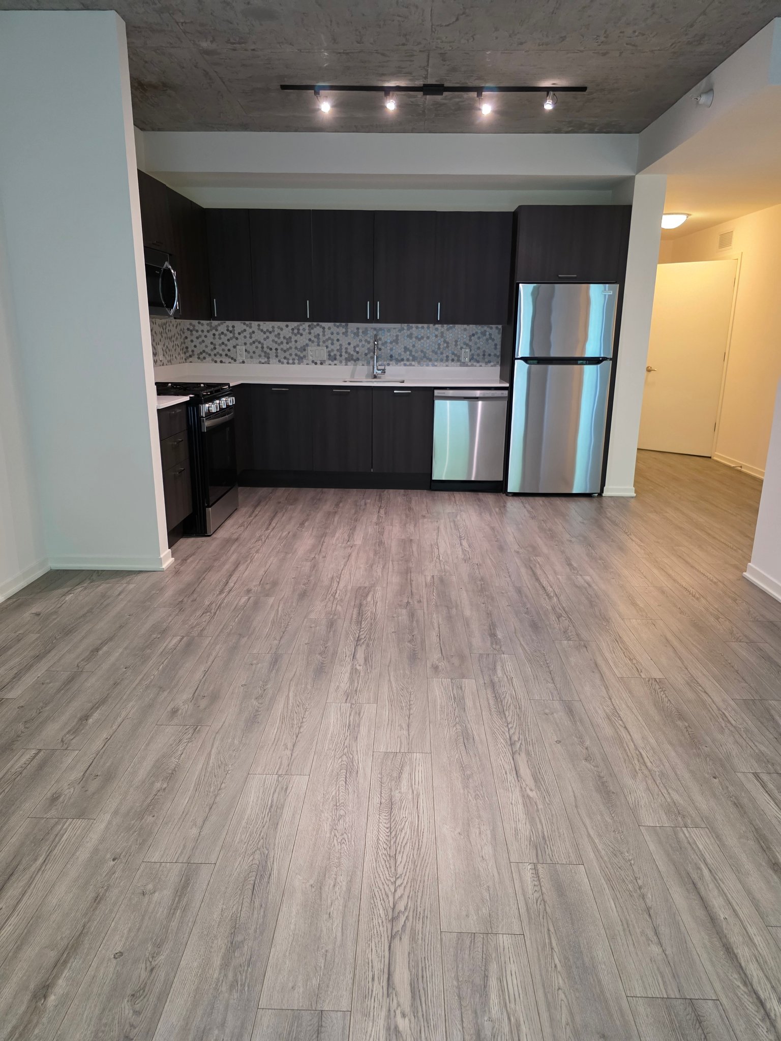 Chicago Condo: 1342 S Wabash Ave