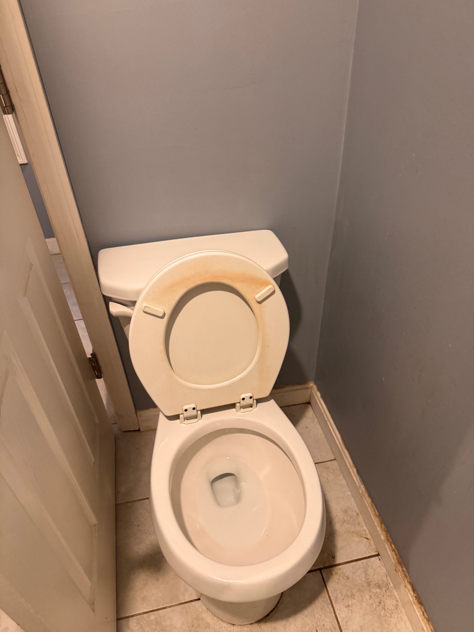 Worcester Apartment: 146 chandler st