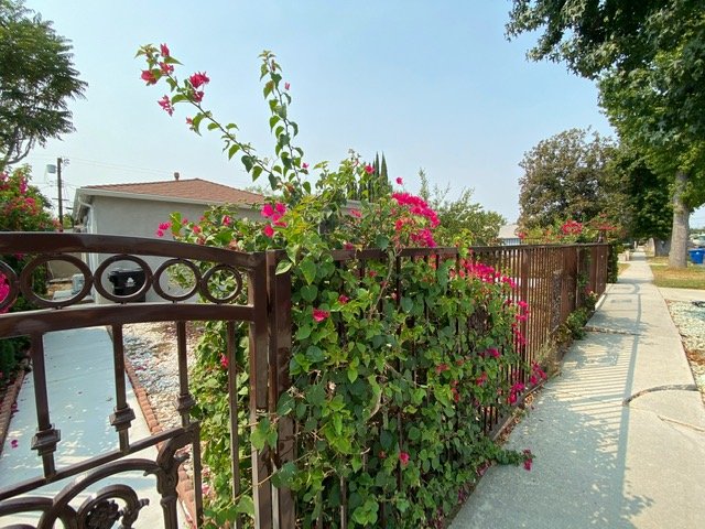 Reseda House: 6657 Enfield Ave.