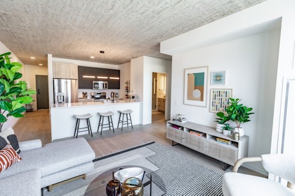 Chicago Condo: 164 N Morgan St