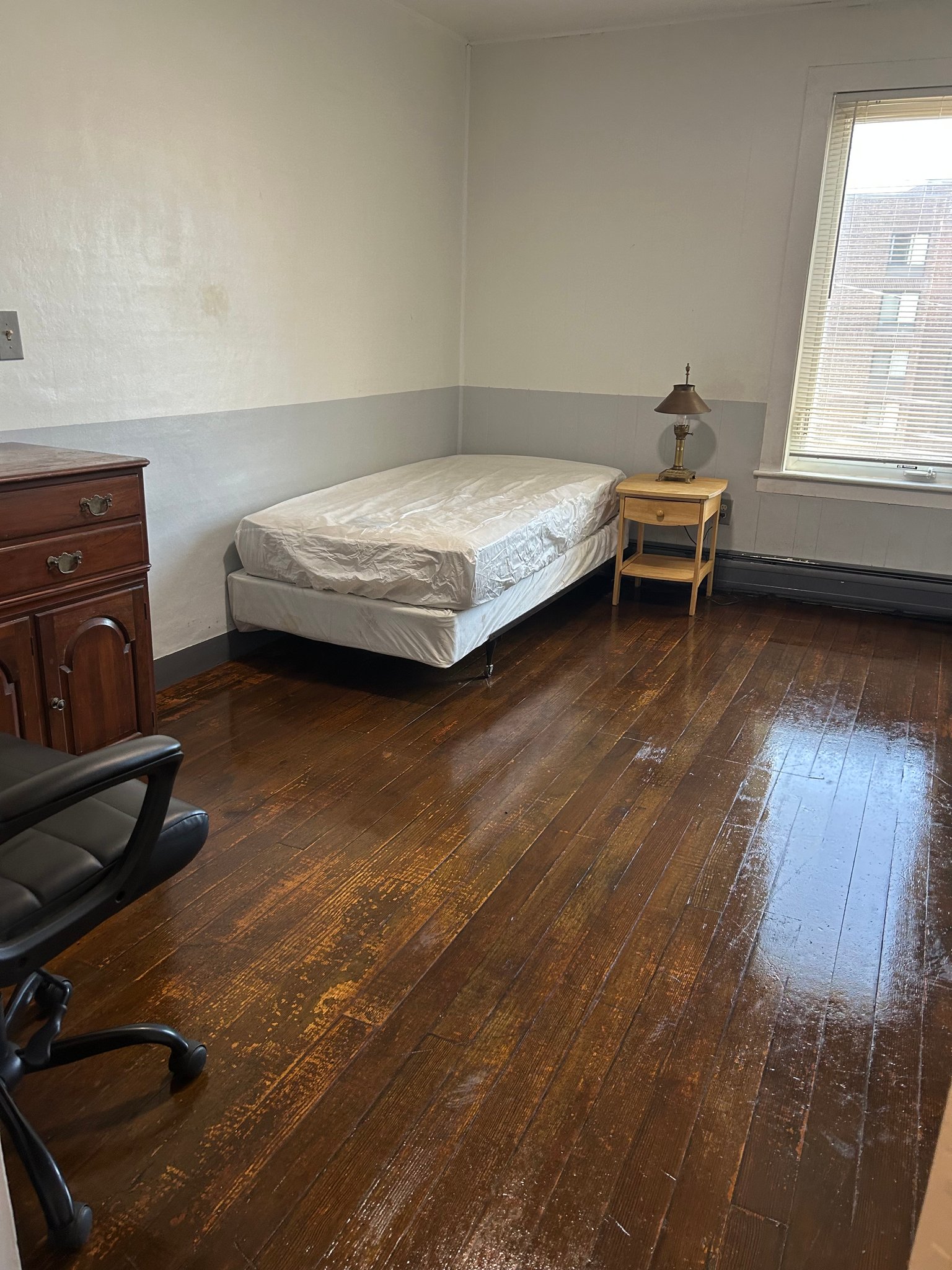 Springfield Apartment: 10 Mineral Street