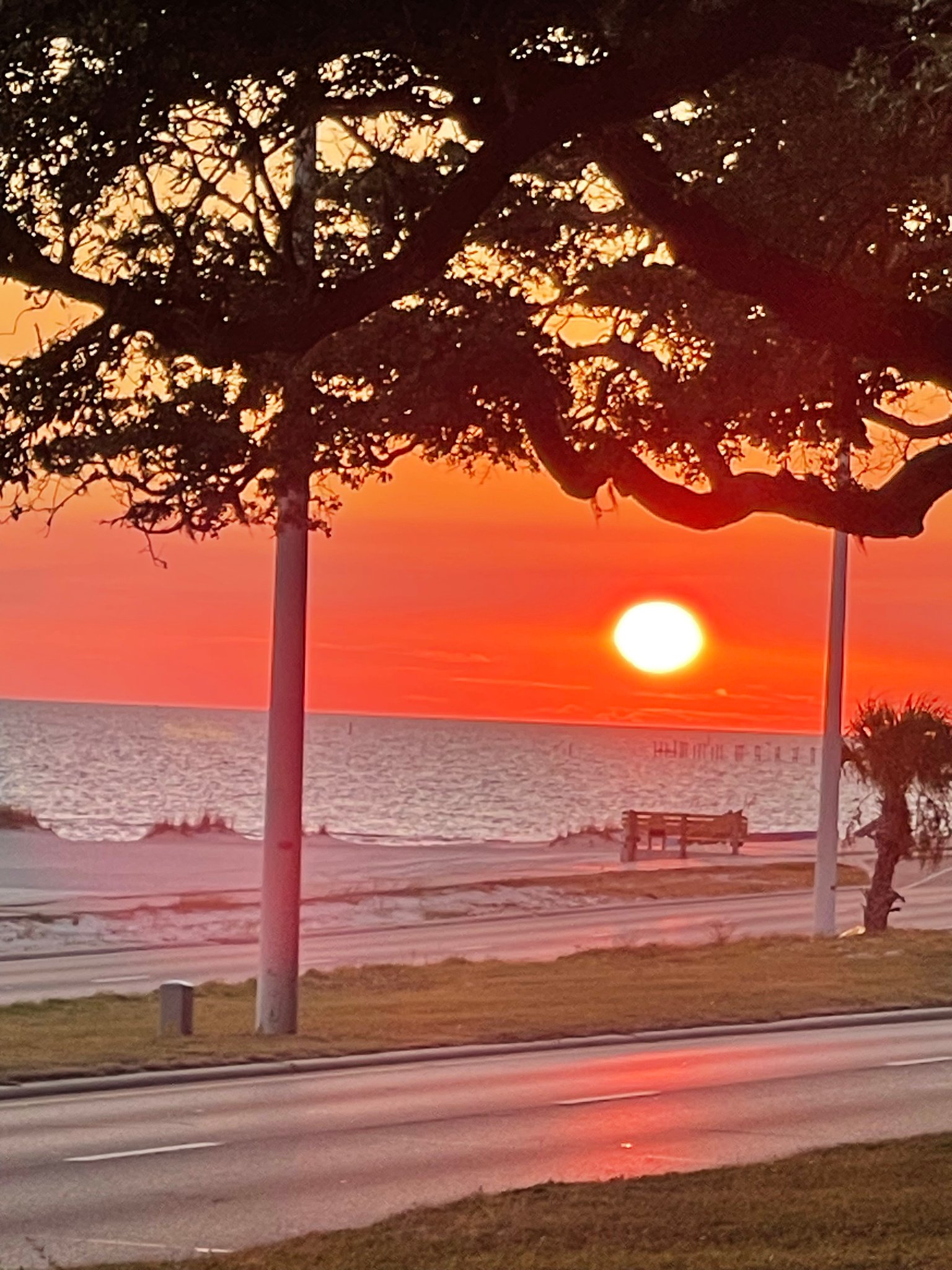 Biloxi Condo: 1282 Beach Blvd