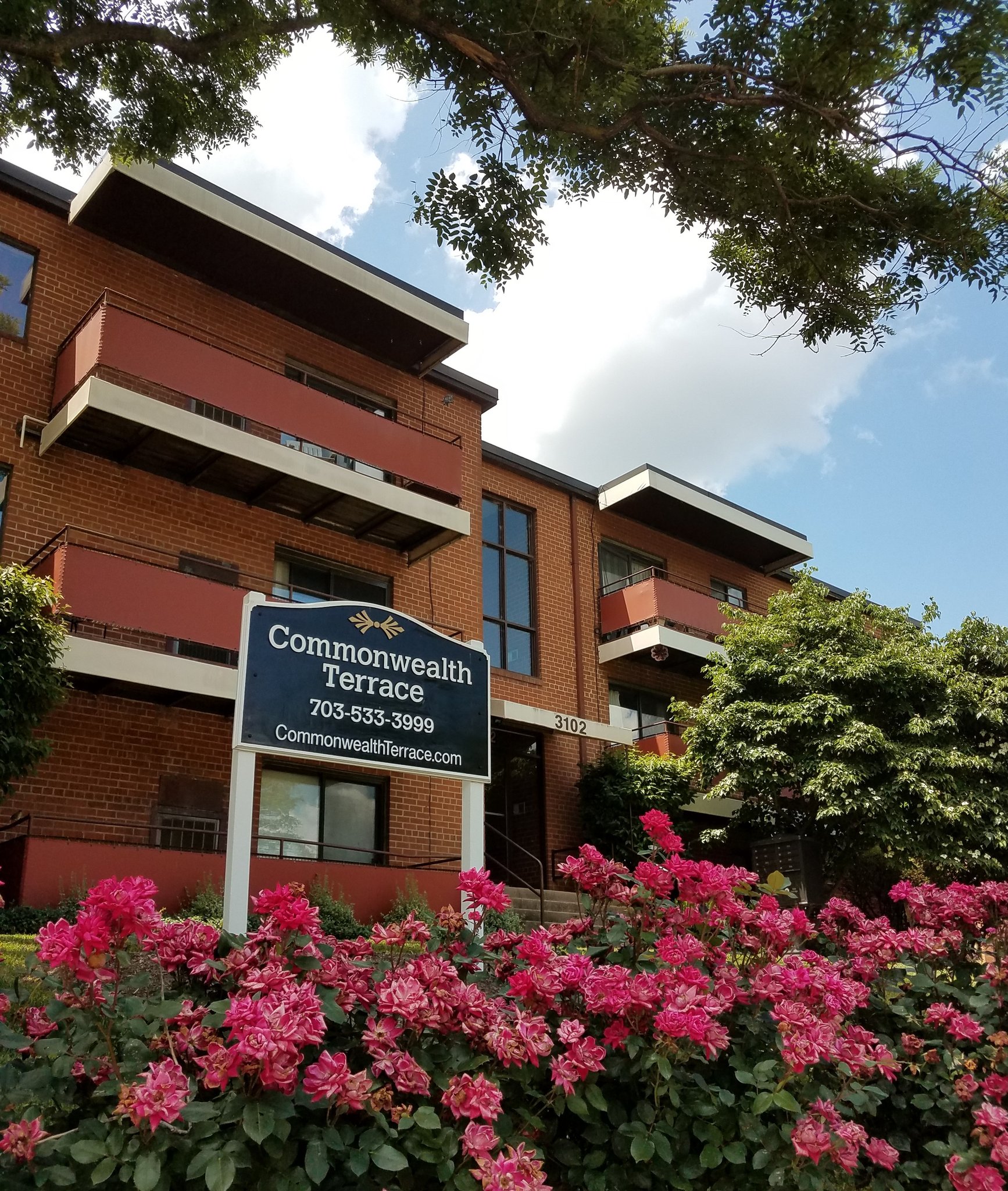 Alexandria Apartment: 3102 Commonwealth Ave