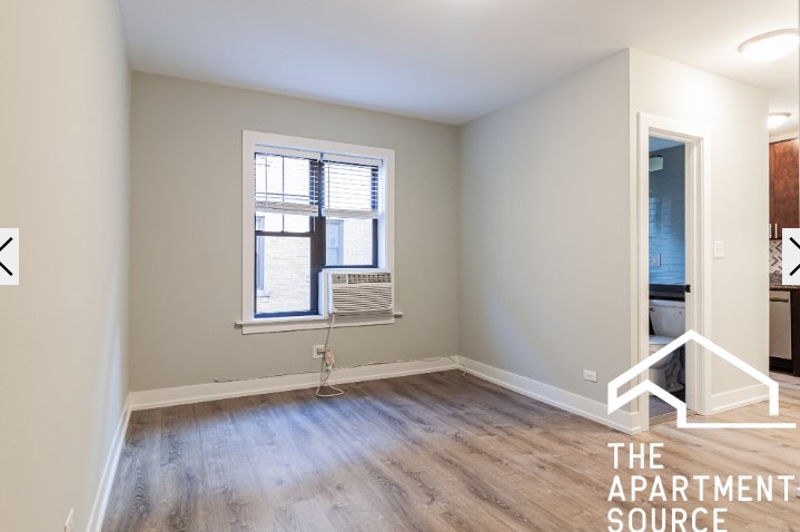 Chicago Condo: 429 West Belden Ave