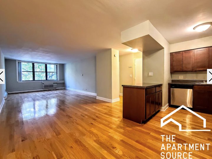 Chicago Condo: 1446 N Dearborn St