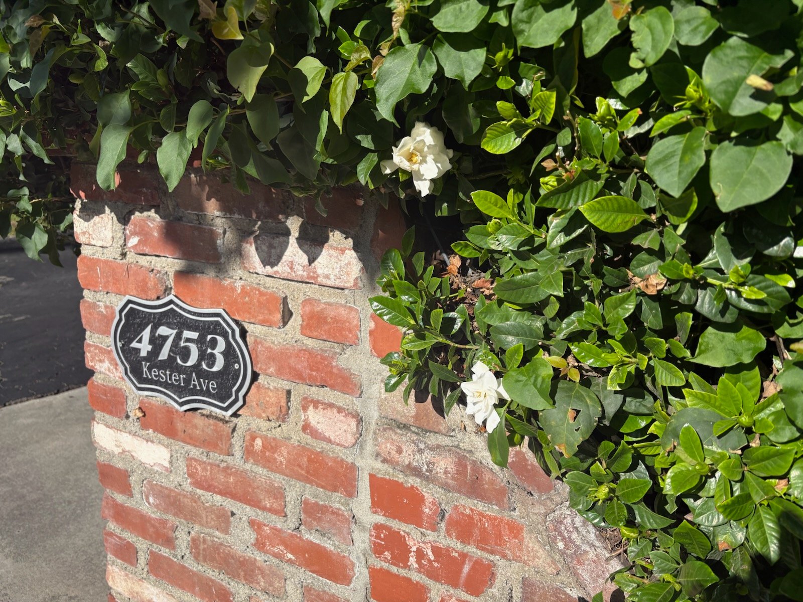 Sherman Oaks Apartment: 4753 Kester Ave