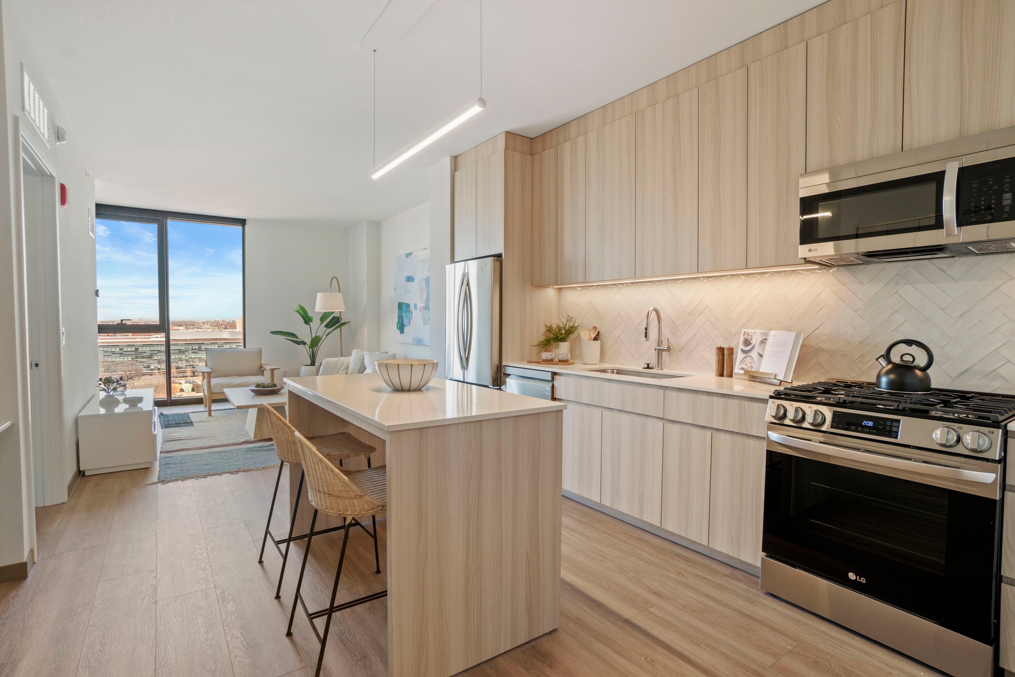 Chicago Condo: 552 S Damen Ave