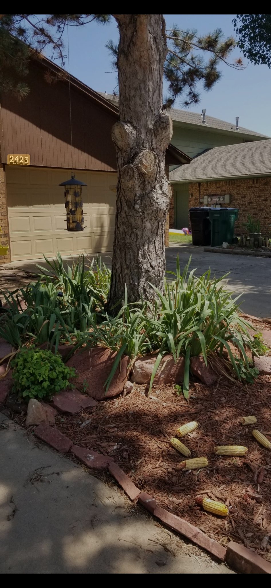 Oklahoma City House: 2423 SW 90th St