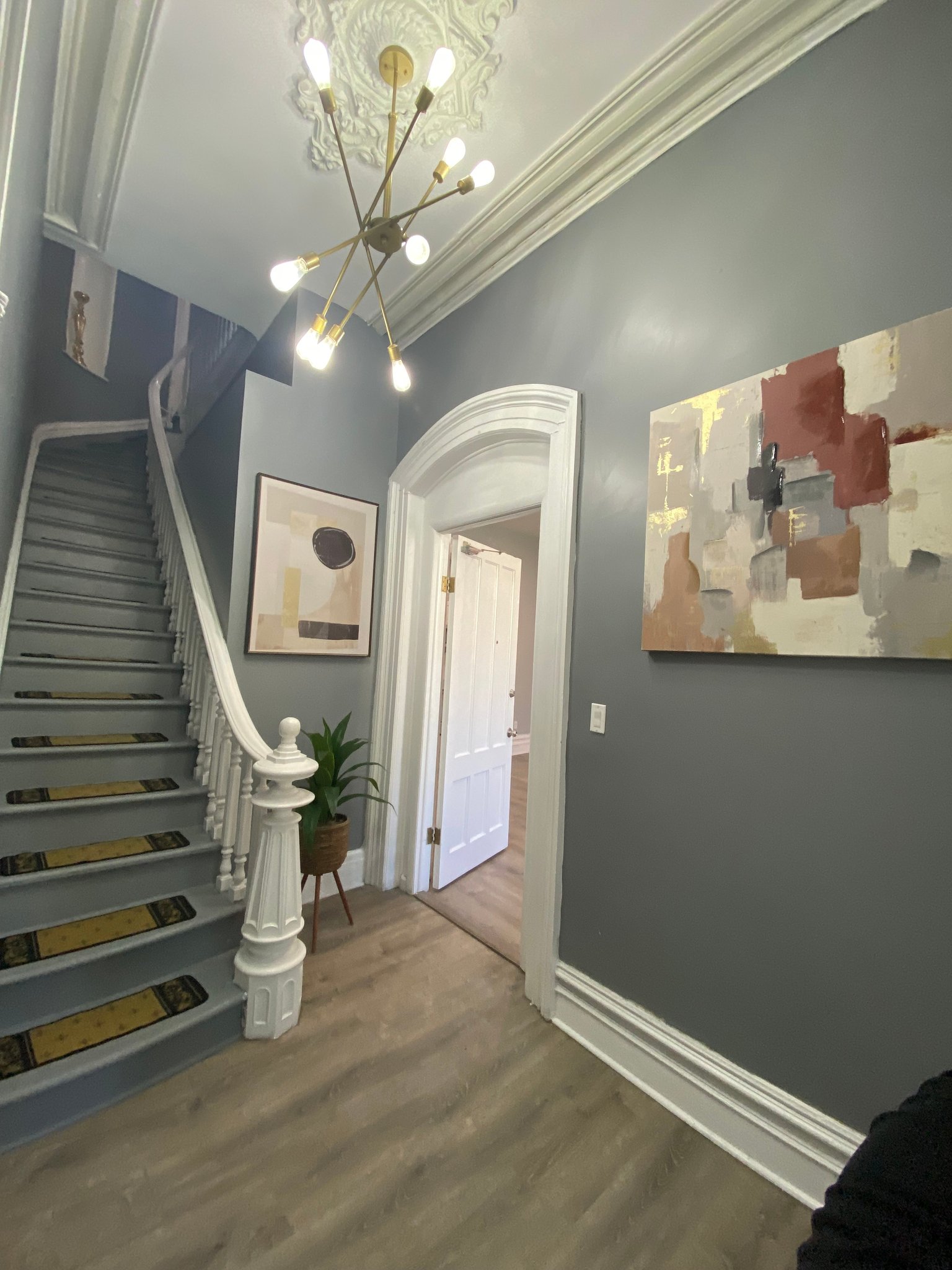 Albany Apartment: 234 Lark St